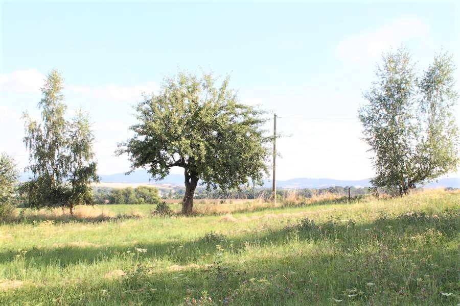  Wohngrundst�ck Radgendorf